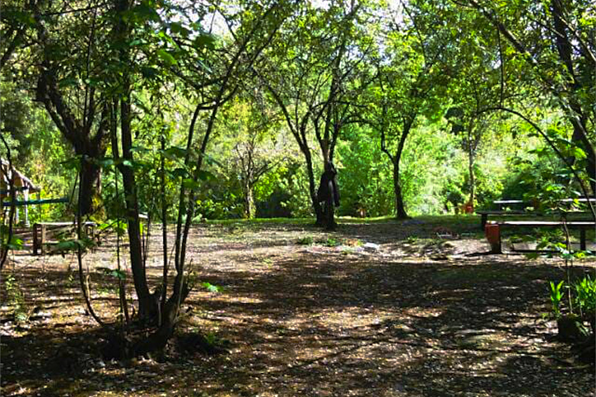 Camping El Bosque 2