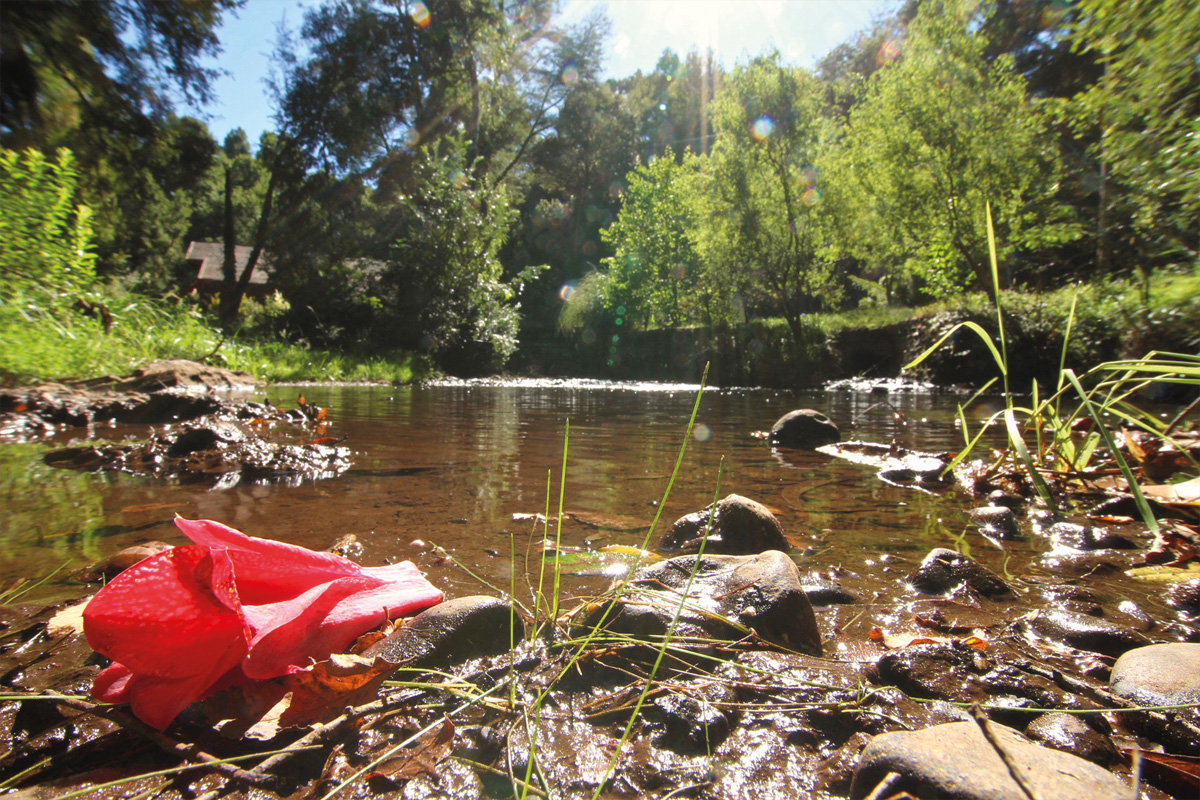 Camping Estero Cobulto