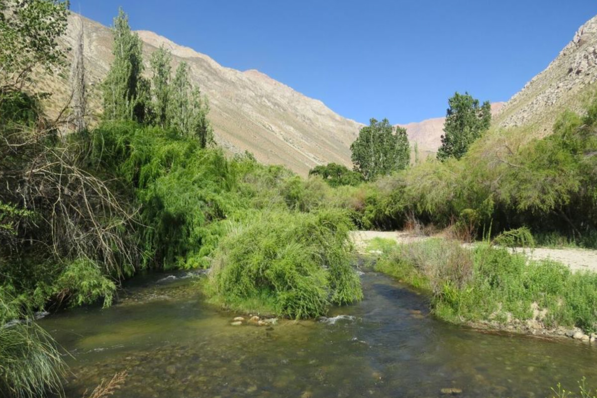 Camping Río Mágico Cochiguaz