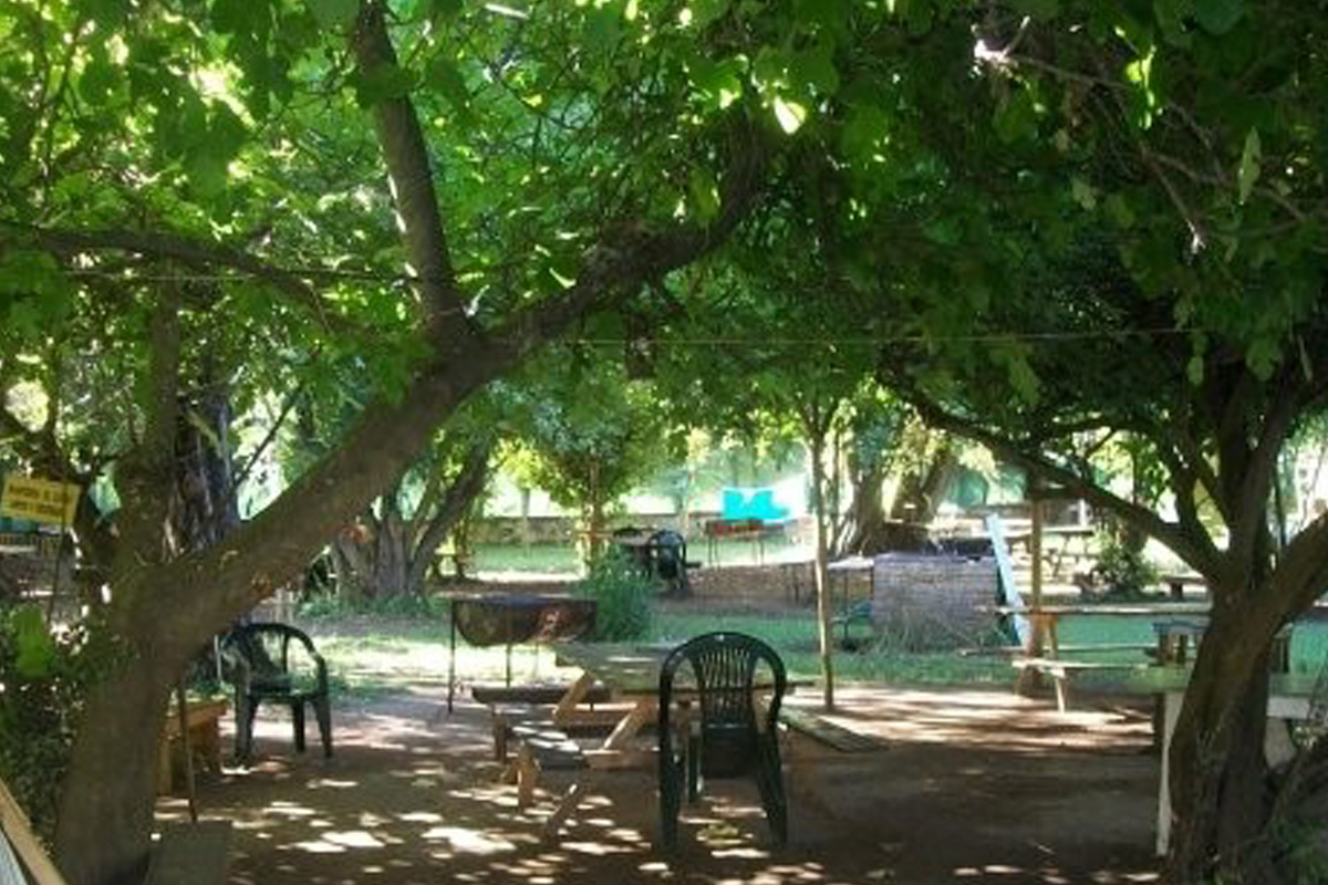 Camping Sin Ir Más Lejos Siempre Verde