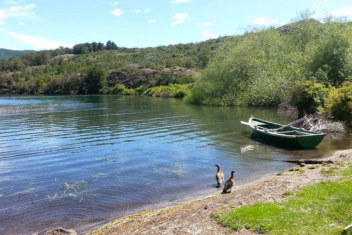 Camping Cerro Color